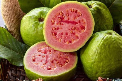 Tastism Guava Fruit Bar 200 Grams (Guava Papad)